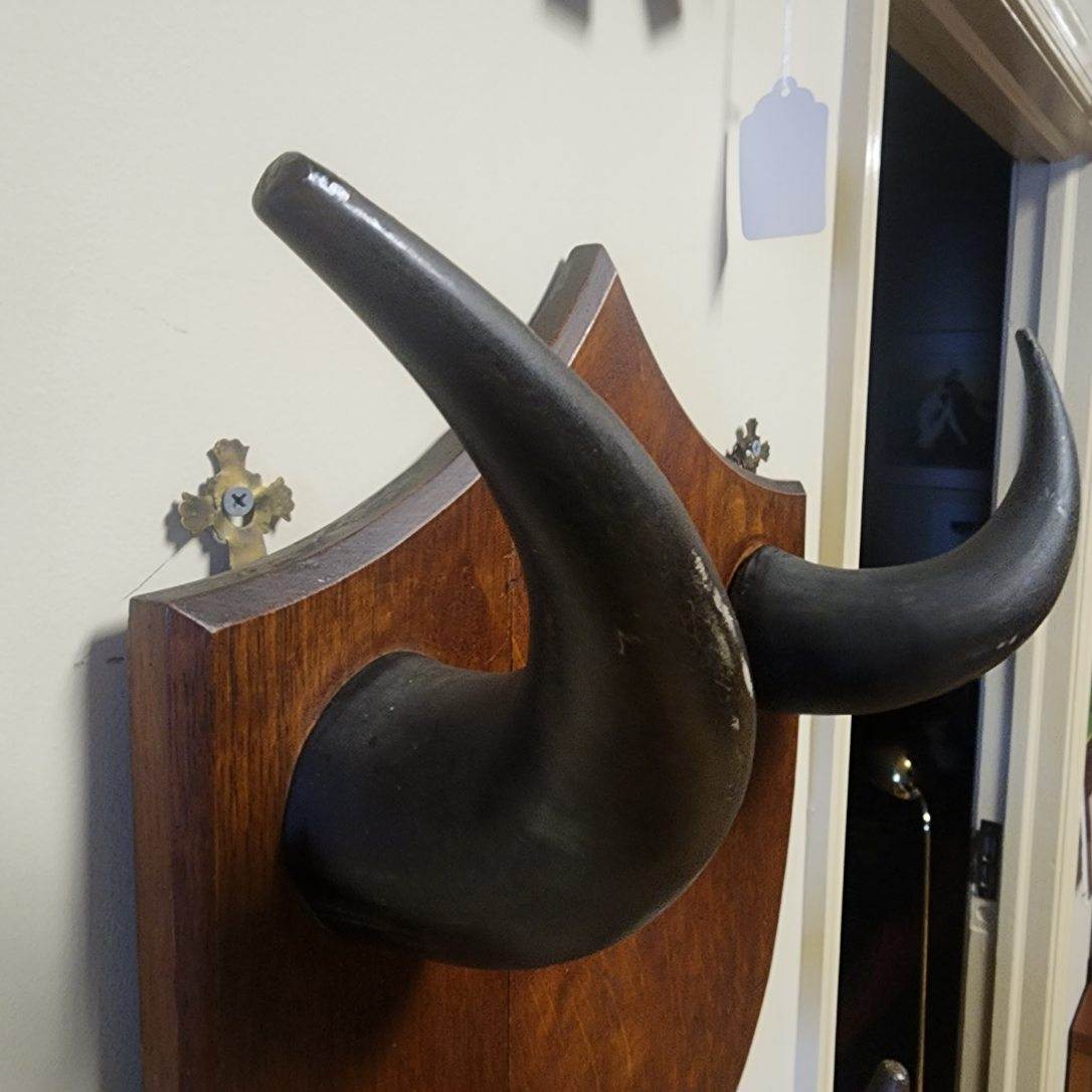Vintage Horn-On-Wood Hanging Hat / Coat Rack
