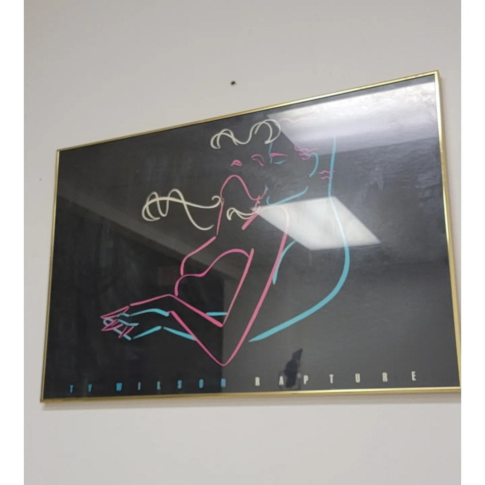 1990 Ty Wilson "Framed" Wall Art Poster